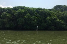 2023 Negombo City Tour & Lagoon Boat Trip with Lunch