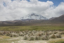 Sajama National Park | Oruro, Bolivia