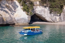 2023 Glass Bottom Boat Whitianga Cathedral Cove Cruise