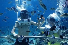 888 Bali Tour - Nusa Penida - 888 Bali Tour의 리뷰 - 트립어드바이저