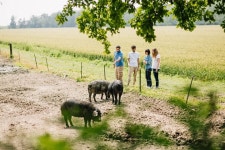 Parma Lowlands Private Tour with Farm Visit | Province of Parma, Italy