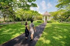 2023 Orchid & Scents provided by Tribe Tours - Tripadvisor