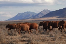 Enjoy Collection Tours and Safaris - 말린디 - Enjoy Collection Tours and Safaris의 리뷰 - 트립어드바이저