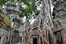 2023 Full-Day Temples of Angkor Small Group Tour - Free Hotel Pick up