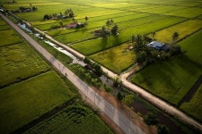 2023 RICEFIELD, fish village & nature sightseeing of Kuala Selangor 반딧불萤火虫