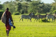 2023 Mombasa 3 days safari in Tsavo and Amboseli Parks with bonus visit to Masai clan