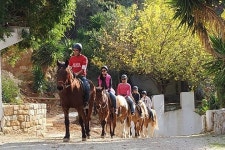 2023 One hour horseriding tour in Nature