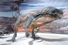 Gray Line San Juan - 산후안 - Gray Line San Juan의 리뷰 - 트립어드바이저