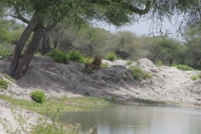 2023 Luxury Safari-8DAYS/7NIGHTS