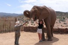 Claim Victory Tours - 케이프타운 중심가 - Claim Victory Tours의 리뷰 - 트립어드바이저