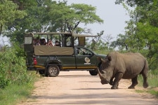 3 Day Best of Kruger small group safari daily departures