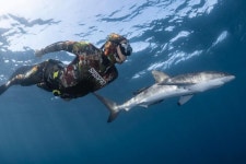 Fish Out of Water Tours - 산호세 델 카보 - Fish Out of Water Tours의 리뷰 - 트립어드바이저