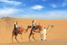 Tripmate Dubai - 두바이 - Tripmate Dubai의 리뷰 - 트립어드바이저