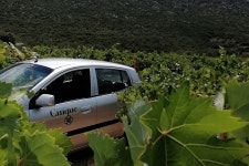 2023 Private Winery Tour in Evia Island