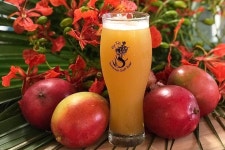 Rip Tyd Bahamian Craft Beer - All You Need to Know BEFORE You Go (with Photos)