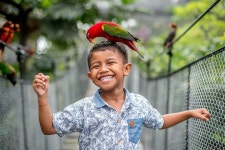 2023 Bali Bird Park Admission Ticket provided by Bali Bird Park