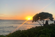 Real Hawaii Tours - 호놀룰루 - Real Hawaii Tours의 리뷰 - 트립어드바이저