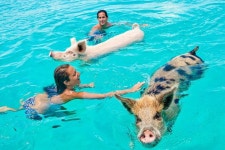 Sharon Lloyd (Nassau, Bahamas): Hours, Address - Tripadvisor