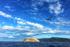 xtremesaltwaterkayakfishing - 말파이스 - xtremesaltwaterkayakfishing의 리뷰 - 트립어드바이저
