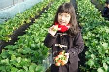 KoreaGPStravel - 서울 - KoreaGPStravel의 리뷰 - 트립어드바이저