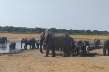 Willtac tours and safaris - 황게 - Willtac tours and safaris의 리뷰 - 트립어드바이저