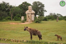 Taste Of The Bush African Journeys - White River - Taste Of The Bush African Journeys의 리뷰 - 트립어드바이저