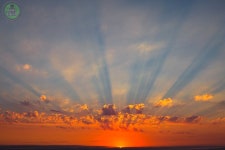 Taste Of The Bush African Journeys - White River - Taste Of The Bush African Journeys의 리뷰 - 트립어드바이저