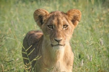 Taste Of The Bush African Journeys - White River - Taste Of The Bush African Journeys의 리뷰 - 트립어드바이저