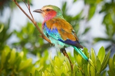 Taste Of The Bush African Journeys - White River - Taste Of The Bush African Journeys의 리뷰 - 트립어드바이저