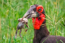 Taste Of The Bush African Journeys - White River - Taste Of The Bush African Journeys의 리뷰 - 트립어드바이저