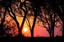 Taste Of The Bush African Journeys - White River - Taste Of The Bush African Journeys의 리뷰 - 트립어드바이저