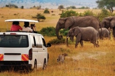 Reviews: 2-Day all inclusive private safari to Amboseli National park from Nairobi Kenya. provided by Nairobi and Beyond Safaris... 