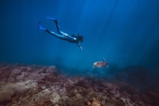 XDivers Centro de Mergulho - All You SHOULD Know Before Going 2026 (with Reviews)