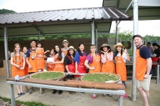 borimtea - 보성 - borimtea의 리뷰 - 트립어드바이저