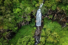 ParkTours (2026) - All You MUST Know Before You Go (with Reviews)