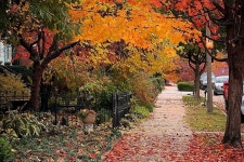2023 Historic Lafayette Square Shared Walking Tour