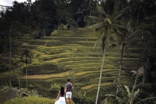 JULI BALI DRIVER (Ubud) - All You Need to Know BEFORE You Go