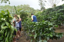 El Pueblo Coffee Tour Monteverde (Santa Elena) - All You Need to Know BEFORE You Go