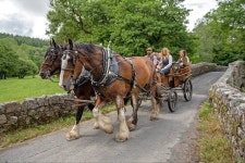Devon Shire Carriages (2025) - All You Need to Know BEFORE You Go (with Trusted Reviews)