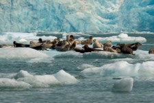 Custom Alaska Cruises, Inc - 주노 - Custom Alaska Cruises, Inc의 리뷰 - 트립어드바이저