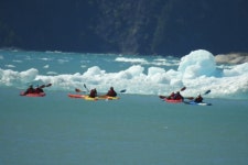 Custom Alaska Cruises, Inc - 주노 - Custom Alaska Cruises, Inc의 리뷰 - 트립어드바이저