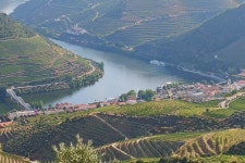 2023 Porto and Douro Valley Private Tour from Lisbon