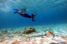 Underwater.journeys - 아이아 나파 - Underwater.journeys의 리뷰 - 트립어드바이저