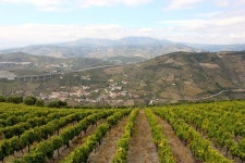 Andreia Douro Tours - 페소 다 레과 - Andreia Douro Tours의 리뷰 - 트립어드바이저 Andreia  Douro Tours - 페소 다 레과 - Andreia... 