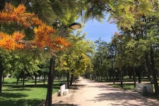 2024 Three parks of Valencia Private Bike Tour