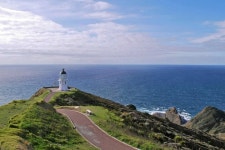 Wild North Tours - Houhora - Wild North Tours의 리뷰 - 트립어드바이저