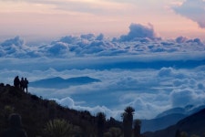 Alta Montaña Colombia - 살렌토 - Alta Montaña Colombia의 리뷰 - 트립어드바이저