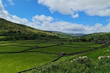 2023 Yorkshire Dales and Fountains Abbey Small-Group Day Trip from York