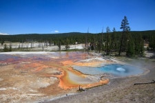 Yellowstone Safari Company - 빅 스카이 - Yellowstone Safari Company의 리뷰 - 트립어드바이저