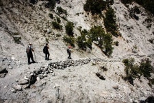 Walk it - 카니아타운 - Walk it의 리뷰 - 트립어드바이저